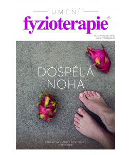 Časopis Umění fyzioterapie č. 19