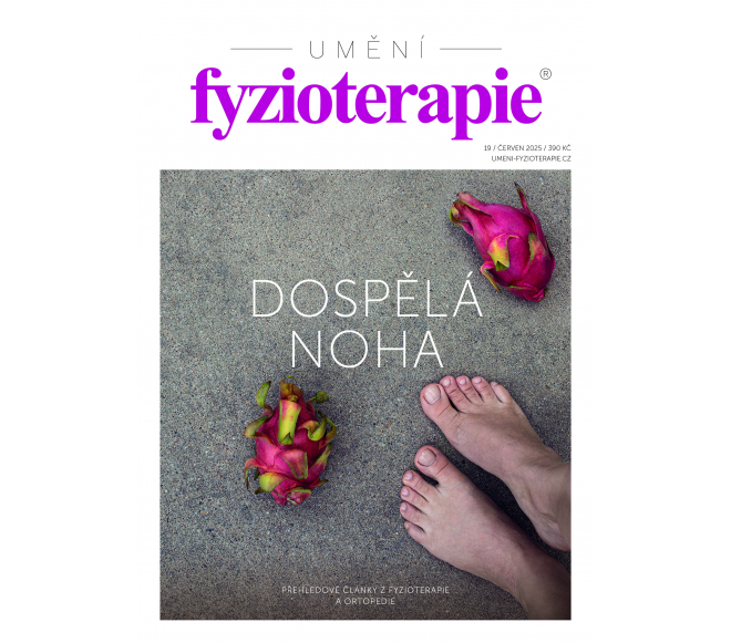 Časopis Umění fyzioterapie č. 19